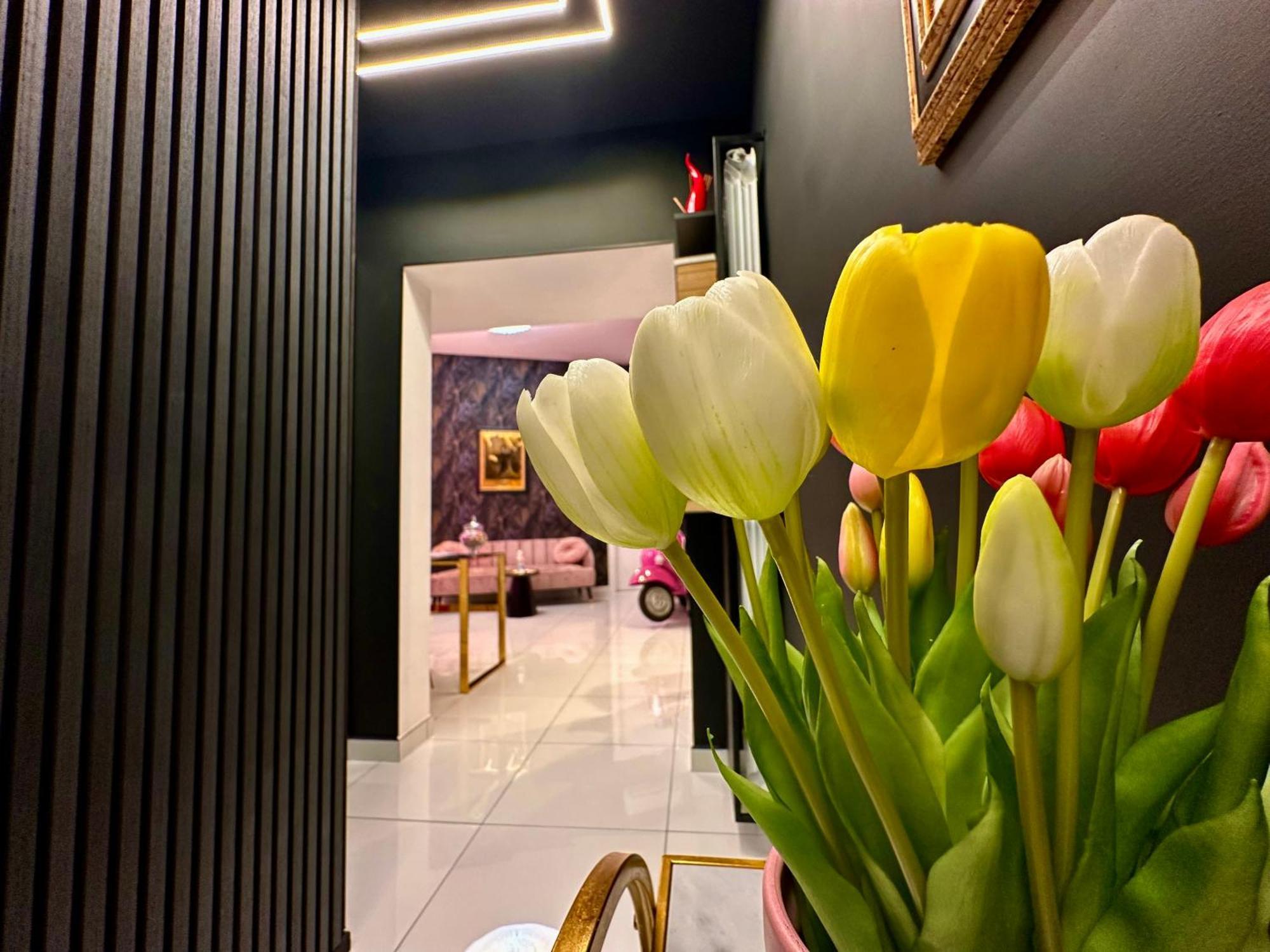 Elegance Rooms Spaccanapoli Exterior foto